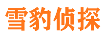 宣武市调查公司